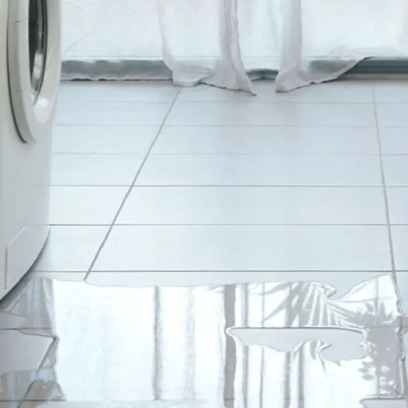 Appliance Leak Cleanup in Westphalia, MD
