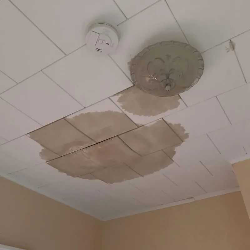 Ceiling Water Damage Repair in Westphalia, MD