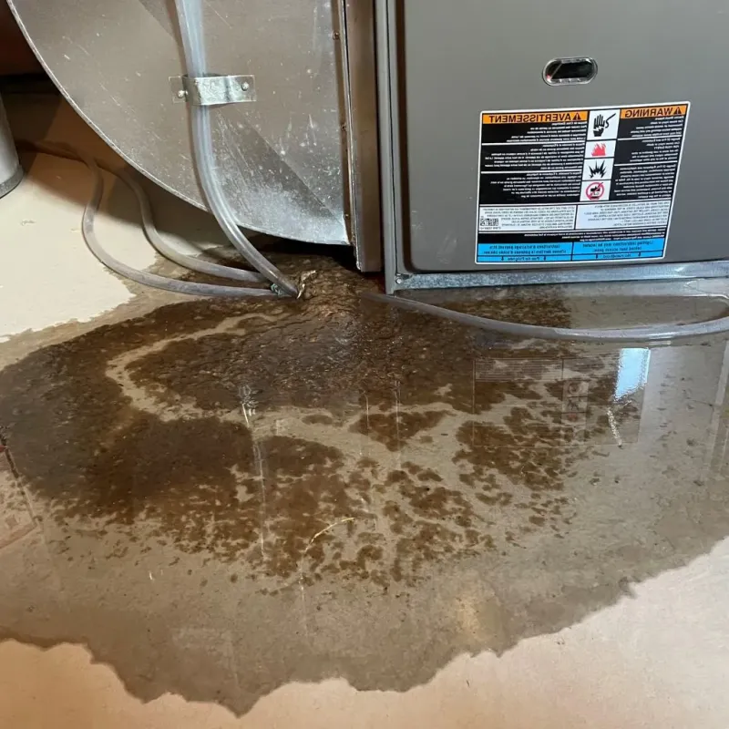 Pipe Burst and Leak Restoration in Westphalia, MD